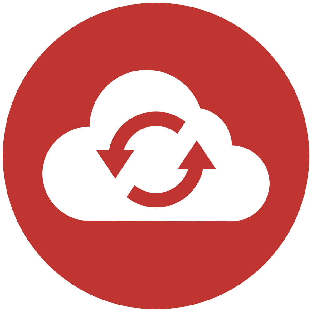 cloud wine data icon